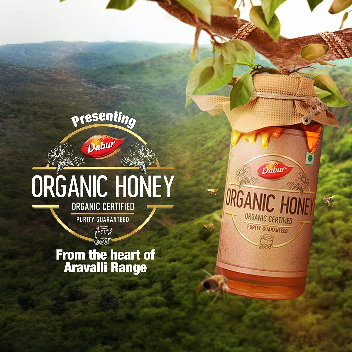 Dabur Organic Honey 500g